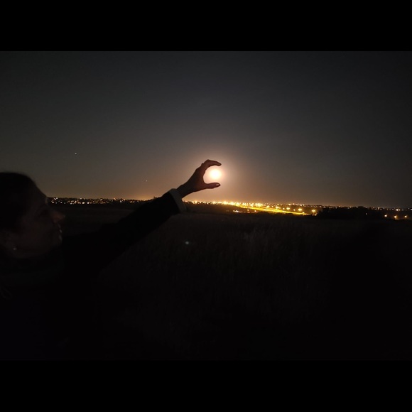 Meet your Posher, Lichita - Picture 1 of 1